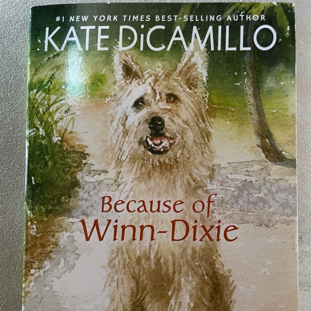 Because of Winn Dixie Book
